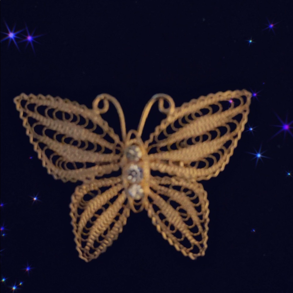 Beautiful butterfly broach!!